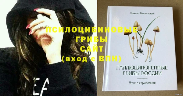 молекула духа Медвежьегорск