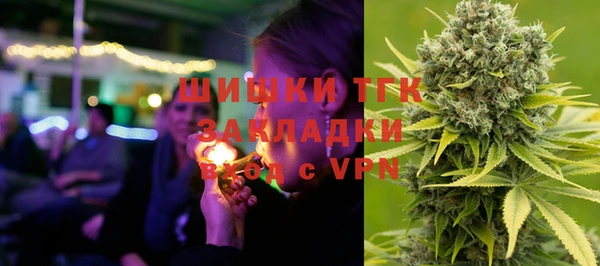 молекула духа Медвежьегорск