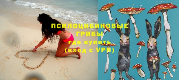 спиды Алексин