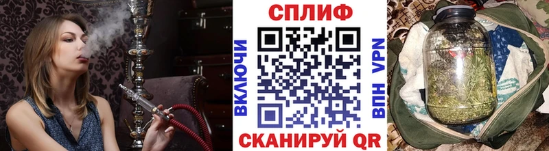 где можно купить   Адыгейск  Каннабис сатива 